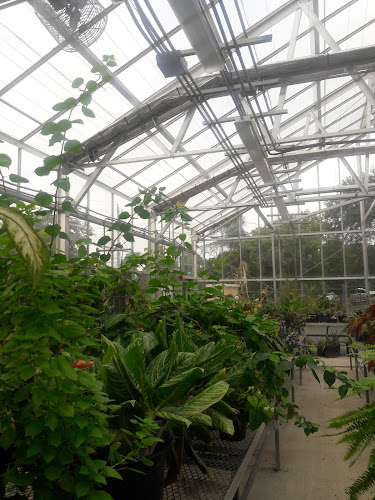 Agriculture Greenhouse