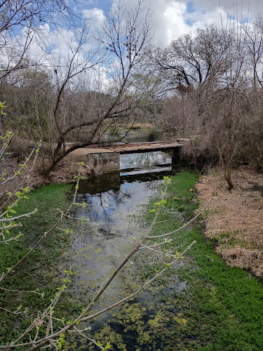 Bicentennial Park