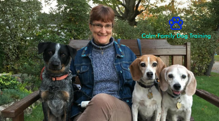 Calm Family Dog Training