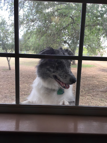 Frandy Oaks Pet Resort