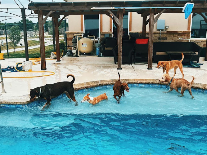 My Buddy’s Pet Resort