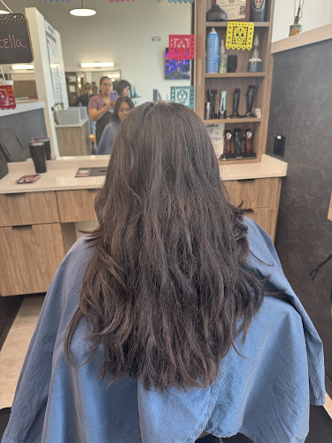 Premier Cuts