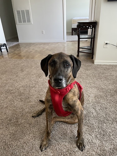 San Marcos Veterinary Clinic