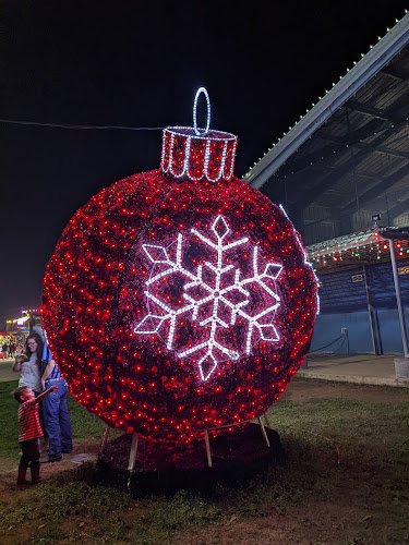 Sights and Sounds of Christmas