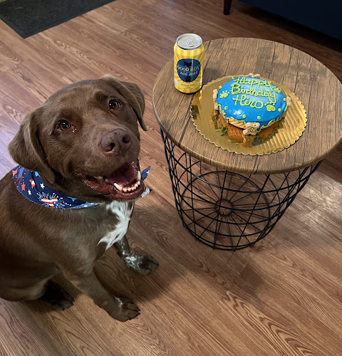 Stinky Dawg – Self-Serve Dog Wash & Professional Grooming
